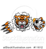 Vector Illustration of a Vicious Tiger Mascot Slashing Through a Wall with a Soccer Ball by AtStockIllustration