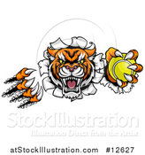 Vector Illustration of a Vicious Tiger Mascot Slashing Through a Wall with a Tennis Ball by AtStockIllustration