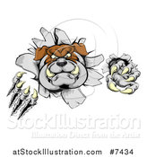 Vector Illustration of a Vicious Tough Bulldog Monster Shredding Through a Wall 2 by AtStockIllustration