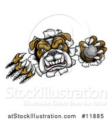 Vector Illustration of a Vicious Tough Bulldog Monster Shredding Through a Wall with a Golf Ball in One Hand by AtStockIllustration
