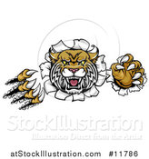 Vector Illustration of a Vicious Wildcat Mascot Shredding Through a Wall by AtStockIllustration