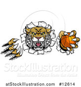 Vector Illustration of a Vicious Wildcat Mascot Shredding Through a Wall with a Basketball by AtStockIllustration