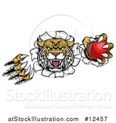 Vector Illustration of a Vicious Wildcat Mascot Shredding Through a Wall with a Cricket Ball by AtStockIllustration
