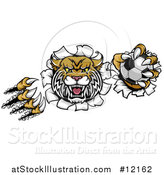 Vector Illustration of a Vicious Wildcat Mascot Shredding Through a Wall with a Soccer Ball by AtStockIllustration