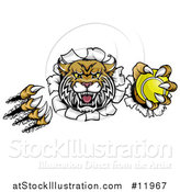 Vector Illustration of a Vicious Wildcat Mascot Shredding Through a Wall with a Tennis Ball by AtStockIllustration