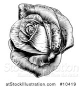 Vector Illustration of a Vintage Black and White Engraved or Woodcut Blooming Rose by AtStockIllustration