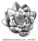 Vector Illustration of a Vintage Black and White Engraved or Woodcut Blooming Waterlily Lotus Flower by AtStockIllustration