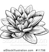 Vector Illustration of a Vintage Black and White Engraved or Woodcut Blooming Waterlily Lotus Flower by AtStockIllustration