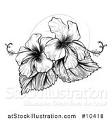 Vector Illustration of a Vintage Black and White Engraved or Woodcut Hibiscus Flower Design by AtStockIllustration