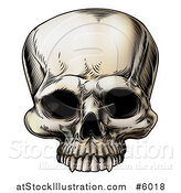 Vector Illustration of a Vintage Human Skull by AtStockIllustration