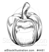 Vector Illustration of a Vintage Woodcut Styled Bell Pepper in Black and White by AtStockIllustration