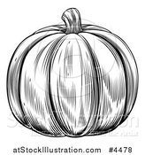 Vector Illustration of a Vintage Woodcut Styled Pumpkin in Black and White by AtStockIllustration