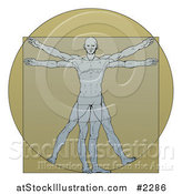 Vector Illustration of a Vitruvian Man over Tan by AtStockIllustration