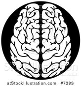 Vector Illustration of a White Human Brain in a Black Circle by AtStockIllustration