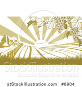 Vector Illustration of a Winery Cottage Farm House and Rolling Hills with Vineyard Grape Vines and Sun Rays in Green and White by AtStockIllustration