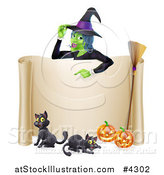 Vector Illustration of a Witch Pointing down to a Scroll Sign with Black Cats Halloween Pumpkins and a Broomstick by AtStockIllustration