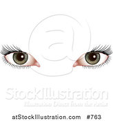 Vector Illustration of a Woman's Green Eyes with Long Eye Lashes by AtStockIllustration