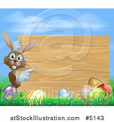 Vector Illustration of a Wood Sign with a Brown Easter Bunny, Eggs Grass and Sky by AtStockIllustration