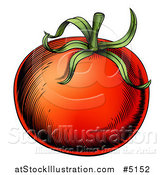 Vector Illustration of a Woodblock Tomato by AtStockIllustration