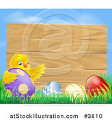 Vector Illustration of a Wooden Sign with a Chick and Easter Eggs Against Blue Sky by AtStockIllustration