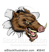 Vector Illustration of an Aggressive Boar Mascot Breaking Through a Wall by AtStockIllustration