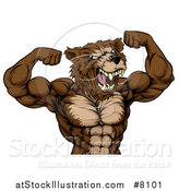 Vector Illustration of an Angry Buff Muscular Grizzly Bear Man Flexing His Muscles, from the Waist up by AtStockIllustration