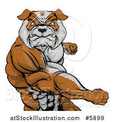 Vector Illustration of an Angry Muscular Bulldog Man Punching by AtStockIllustration