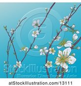 Vector Illustration of Background of Branches with Spring Blossoms over Blue Sky by AtStockIllustration