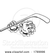 Vector Illustration of Bear Ice Hockey Player Animal Sports Mascot by AtStockIllustration