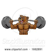 Vector Illustration of Bear Mascot Weight Lifting Barbell Body Builder by AtStockIllustration