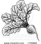 Vector Illustration of Beet Beetroot Vegetable Woodcut Illustration by AtStockIllustration