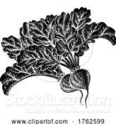 Vector Illustration of Beets Beetroot Vegetable Woodcut Illustration by AtStockIllustration