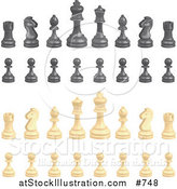 Vector Illustration of Black and Ivory Chess Pieces by AtStockIllustration