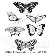 Vector Illustration of Black and White Butterflies by AtStockIllustration