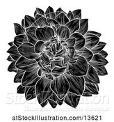 Vector Illustration of Black and White Dahlia or Chrysanthemum Flower in Woodcut Style by AtStockIllustration