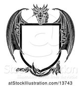 Vector Illustration of Black and White Dragon Holding a Shield by AtStockIllustration