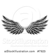 Vector Illustration of Black and White Engraved Woodcut Feathered Wings by AtStockIllustration