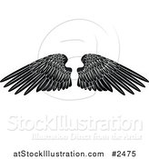 Vector Illustration of Black and White Feathered Wings by AtStockIllustration