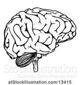 Vector Illustration of Black and White Human Brain by AtStockIllustration