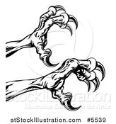 Vector Illustration of Black and White Reaching Eagle Talons by AtStockIllustration