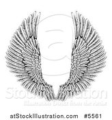 Vector Illustration of Black and White Spread Feathered Angel Wings by AtStockIllustration