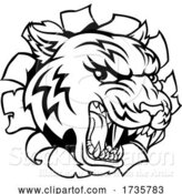 Vector Illustration of Black and White Tiger Mascot Head Breaking Through a Wall by AtStockIllustration
