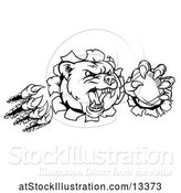 Vector Illustration of Black and White Vicious Aggressive Bear Mascot Slashing Through a Wall with a Football in a Paw by AtStockIllustration
