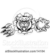 Vector Illustration of Black and White Vicious Roaring Panther Mascot Shredding Through a Wall with an American Football by AtStockIllustration