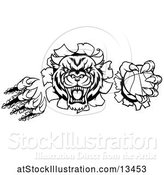 Vector Illustration of Black and White Vicious Tiger Mascot Slashing Through a Wall with a Basketball by AtStockIllustration