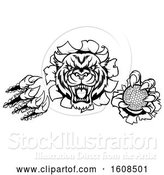 Vector Illustration of Black and White Vicious Tiger Mascot Slashing Through a Wall with a Golf Ball by AtStockIllustration
