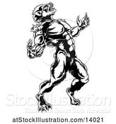Vector Illustration of Black and White Werewolf Beast Howling and Transforming by AtStockIllustration