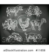 Vector Illustration of Black Board with Chalk Drawn Foods and Meat Animals by AtStockIllustration