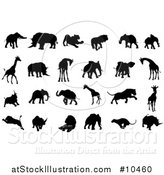 Vector Illustration of Black Silhouetted African Animals, Elephants, Rhinos, Lions and Giraffes by AtStockIllustration