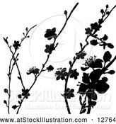 Vector Illustration of Black Silhouetted Blossom Branches by AtStockIllustration